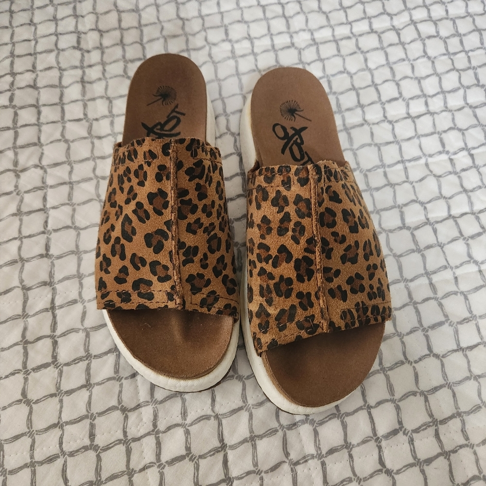 OTBT cheetah